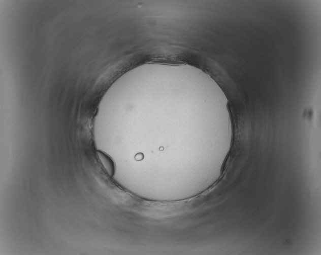 X0000115100045200911171251