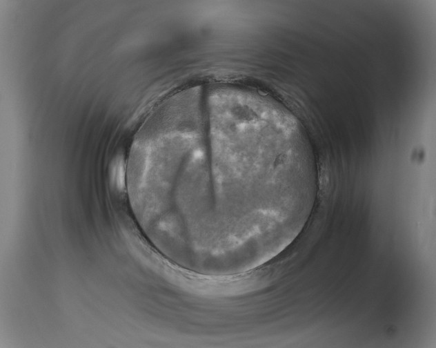 X0000115100046200911171251