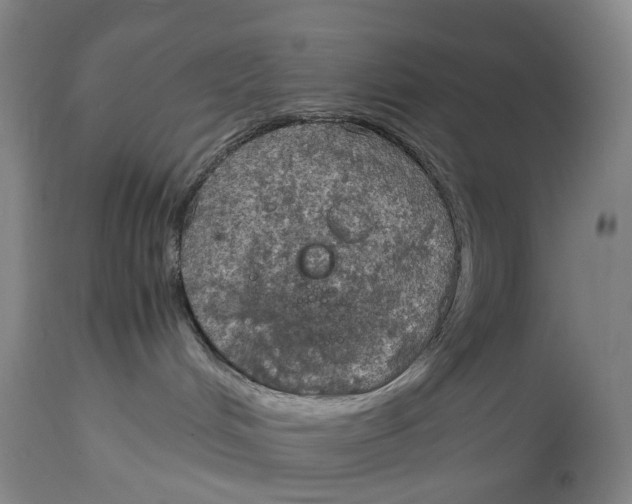 X0000115100048200911171251