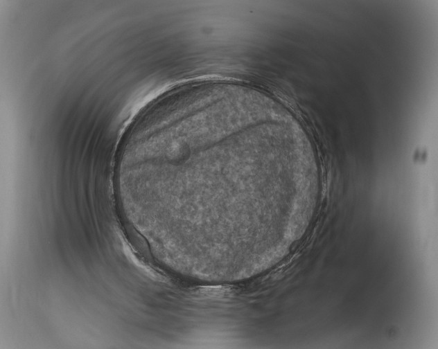 X0000115100050200911171250