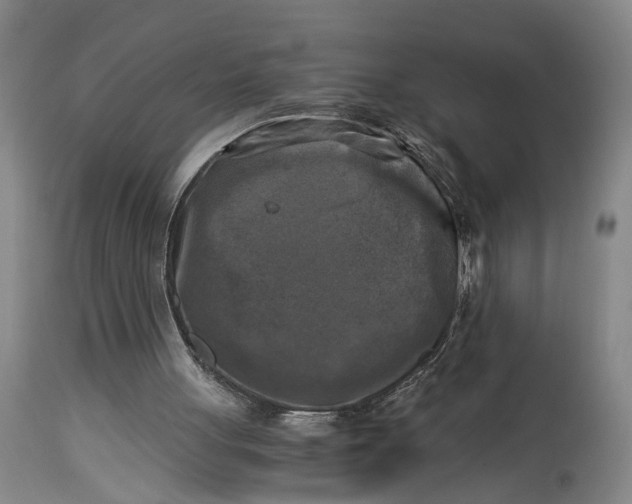 X0000115100051200911171250