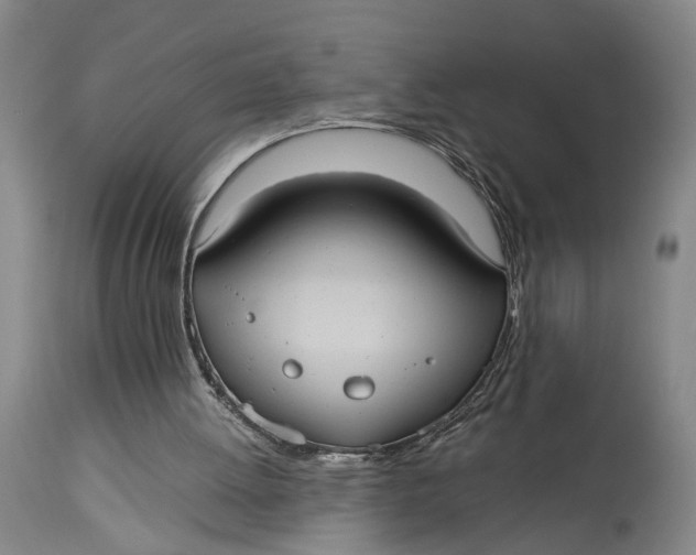 X0000115100052200911171250