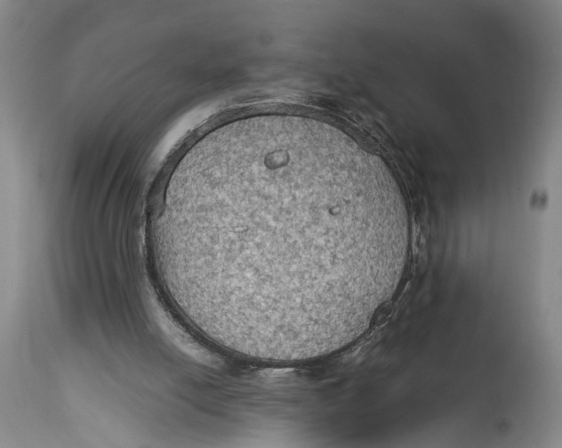 X0000115100054200911171250