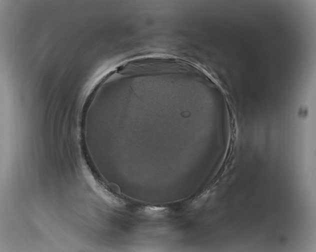 X0000115100055200911171250