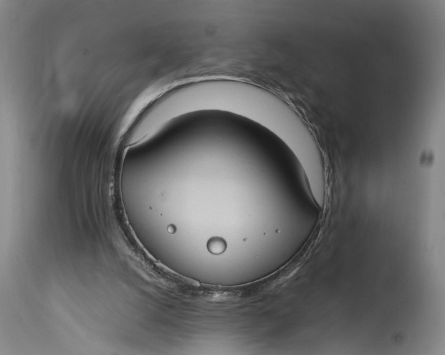 X0000115100056200911171250