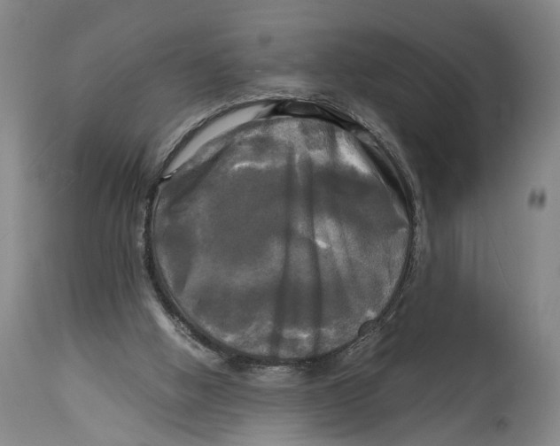 X0000115100058200911171251