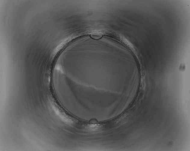 X0000115100059200911171251