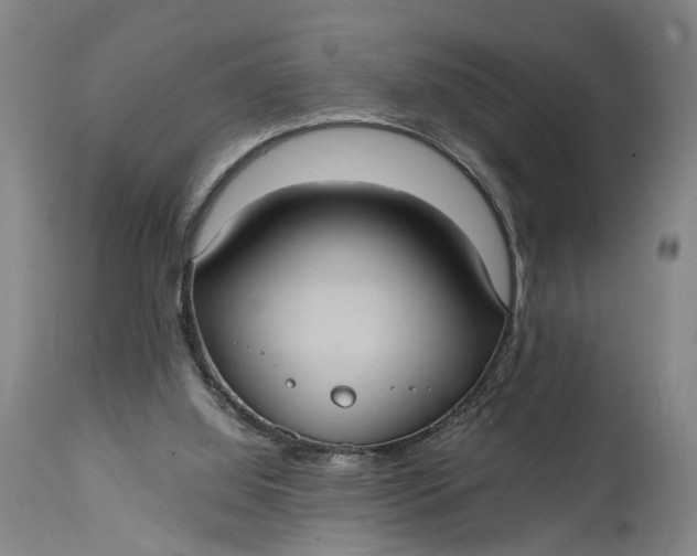 X0000115100060200911171251