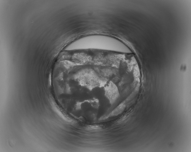 X0000115100061200911171251