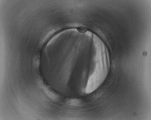 X0000115100063200911171251