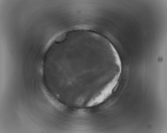 X0000115100064200911171251