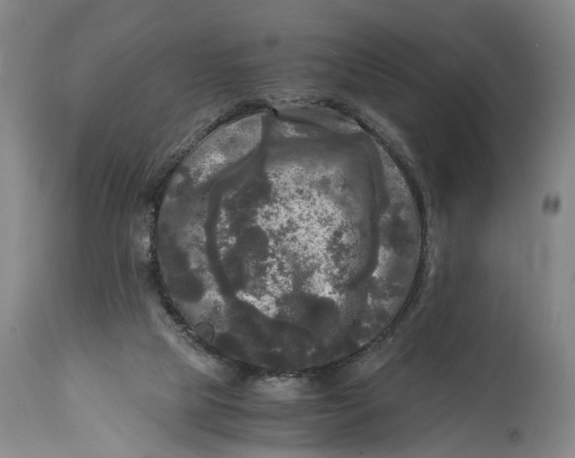 X0000115100065200911171251