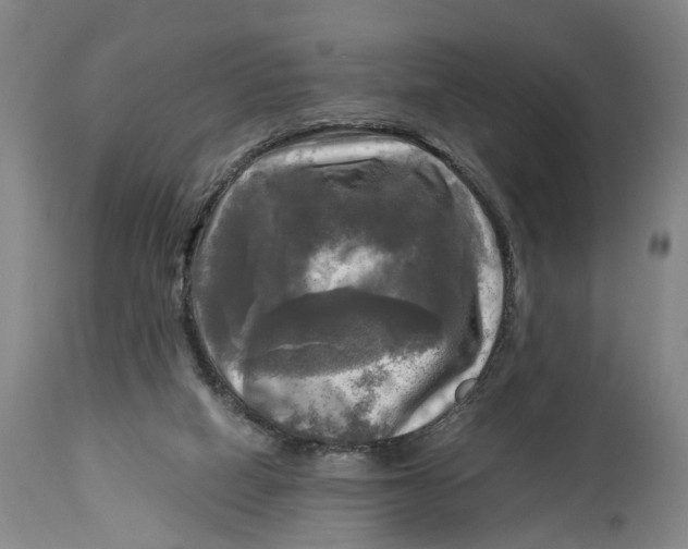 X0000115100066200911171251