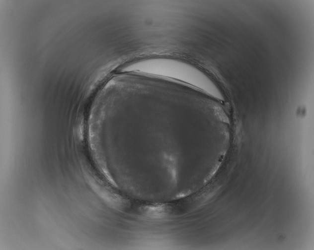 X0000115100068200911171251