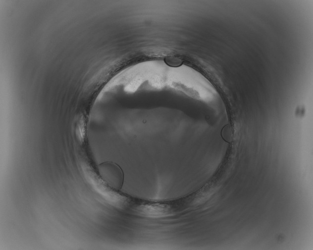 X0000115100069200911171251