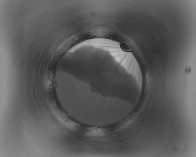 X0000115100073200911171251