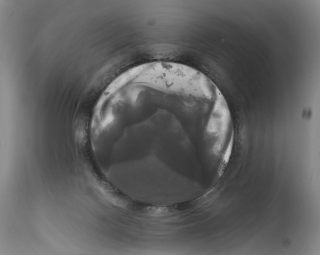 X0000115100074200911171251