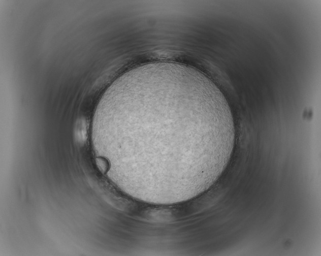 X0000115100075200911171251