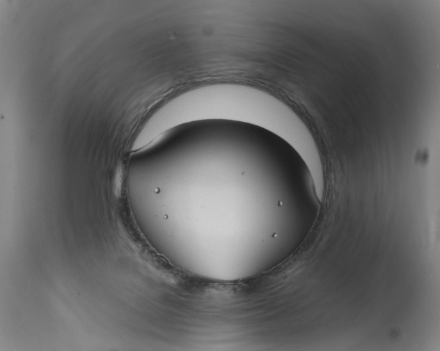 X0000115100076200911171251