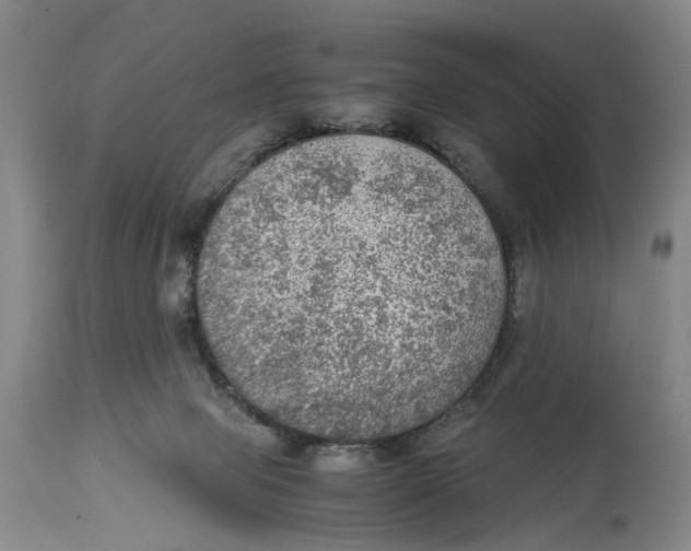 X0000115100077200911171251