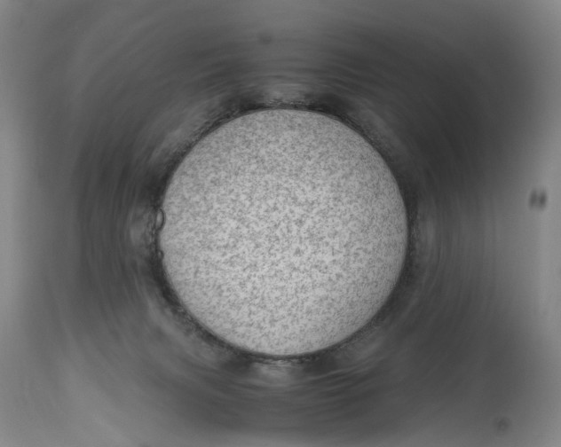 X0000115100079200911171251