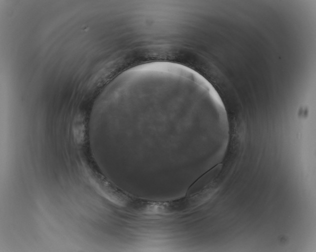 X0000115100080200911171251