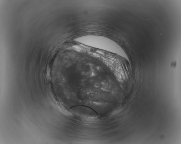 X0000115100081200911171251