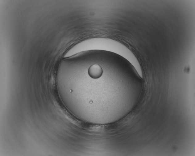 X0000115100084200911171251