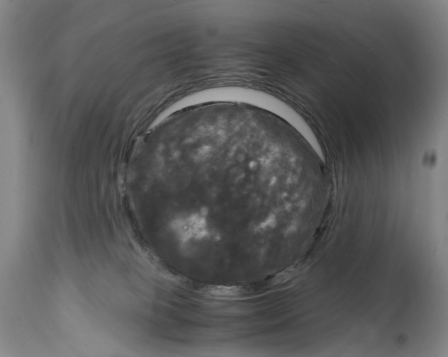 X0000115100085200911171251