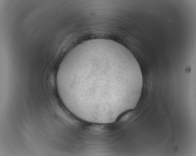 X0000115100086200911171251