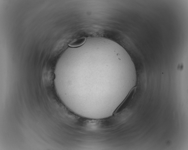 X0000115100088200911171251