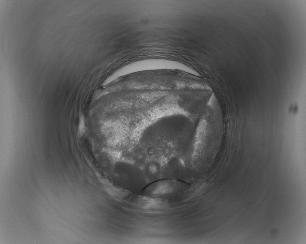 X0000115100089200911171251