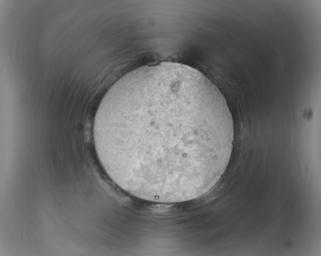 X0000115100090200911171251