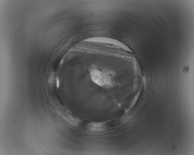 X0000115100093200911171251