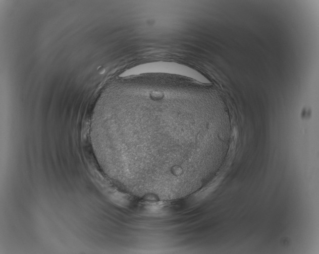 X0000115100096200911171251