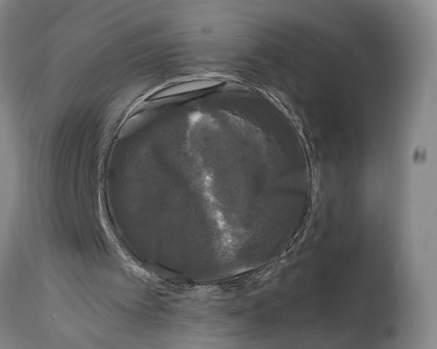 X0000115100097200911171250