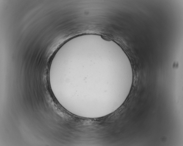 X0000115100098200911171250