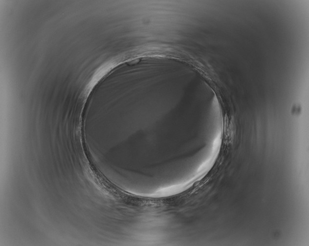 X0000115100099200911171250