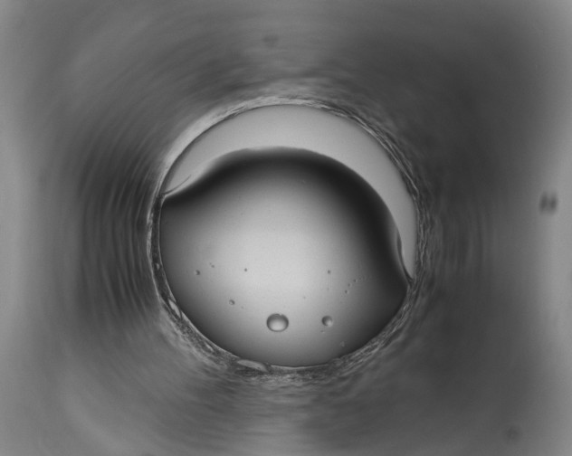 X0000115100100200911171250