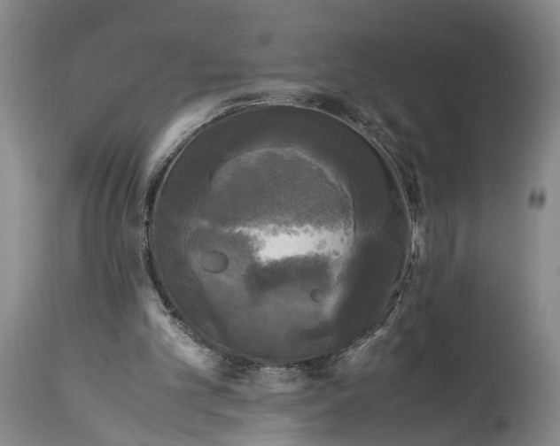 X0000115100101200911171250