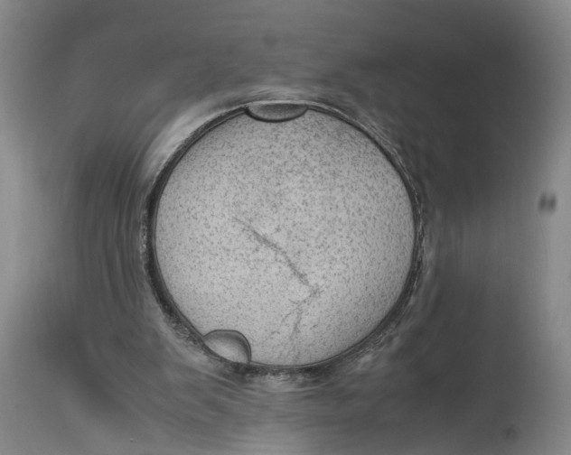 X0000115100103200911171250