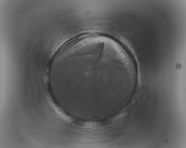 X0000115100105200911171250