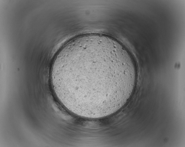 X0000115100107200911171250