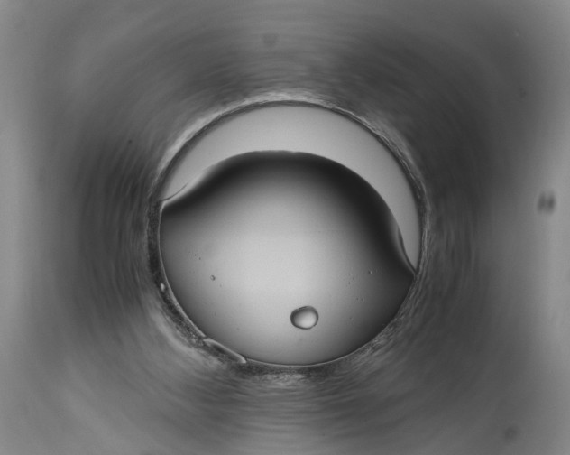 X0000115100108200911171250