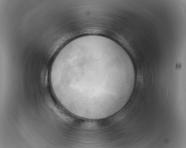 X0000115100110200911171250