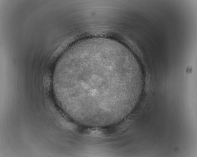 X0000115100113200911171250