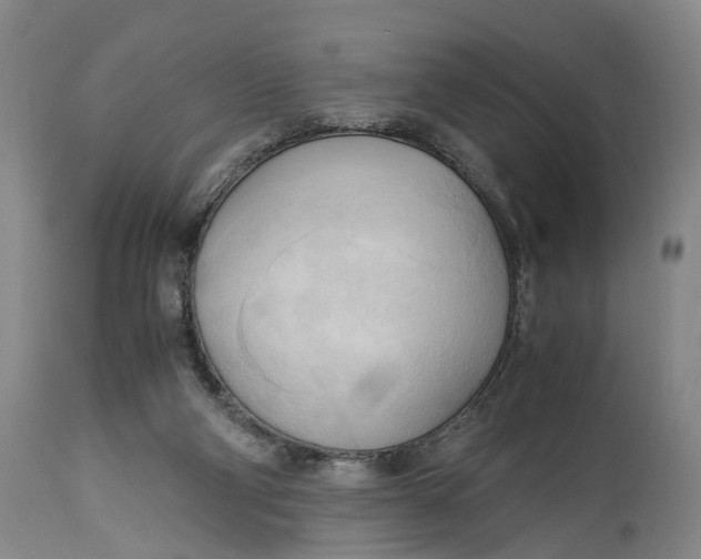 X0000115100114200911171250