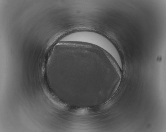 X0000115100116200911171250