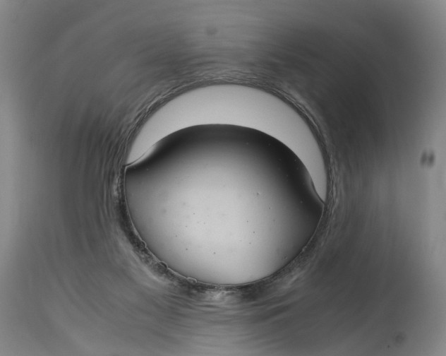 X0000115100117200911171250