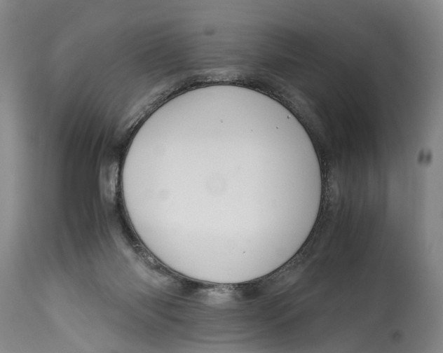 X0000115100118200911171250